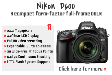Rent Nikon D600