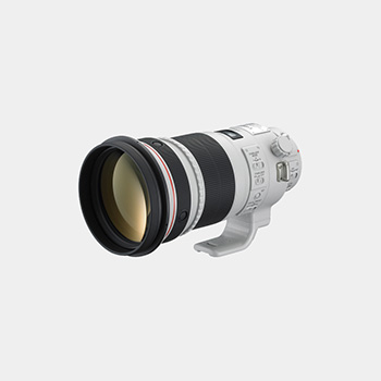 Canon EF 300mm f/2.8L IS II USM