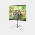 Portable Tripod Screen (70 x 70