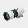 Canon 300mm f/4.0L IS