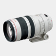 Canon 100-400mm f/4.5-5.6L IS USM