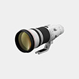 Canon EF 200-400mm f/4L IS w/1.4x Extender